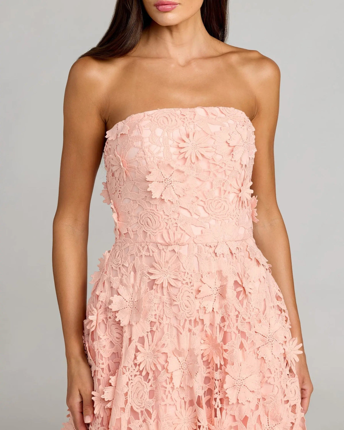 Blush Strapless Floral Embroidered Lace A-Line Dress