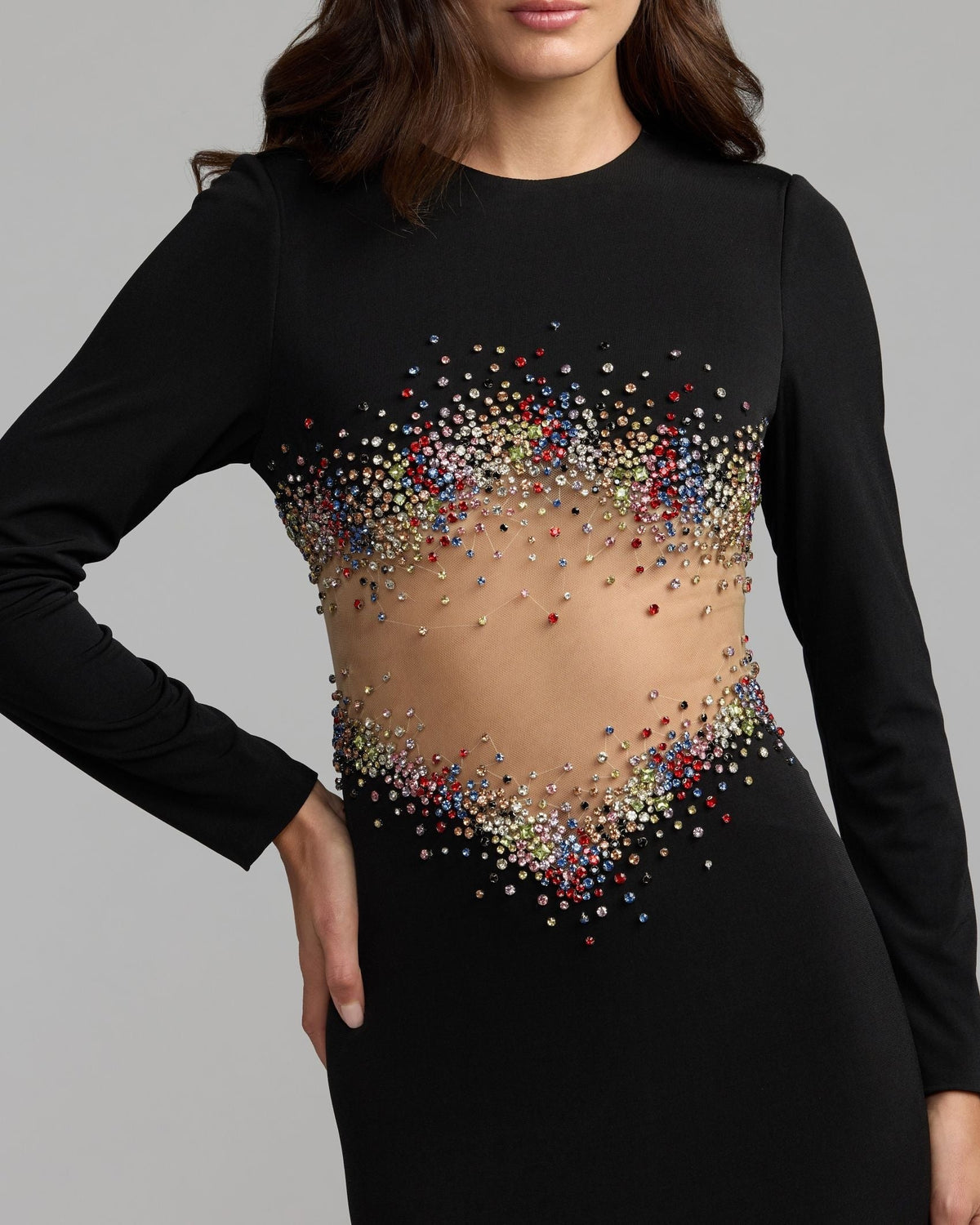 Black Multicolor Crystal Embellished Illusion Jersey Gown