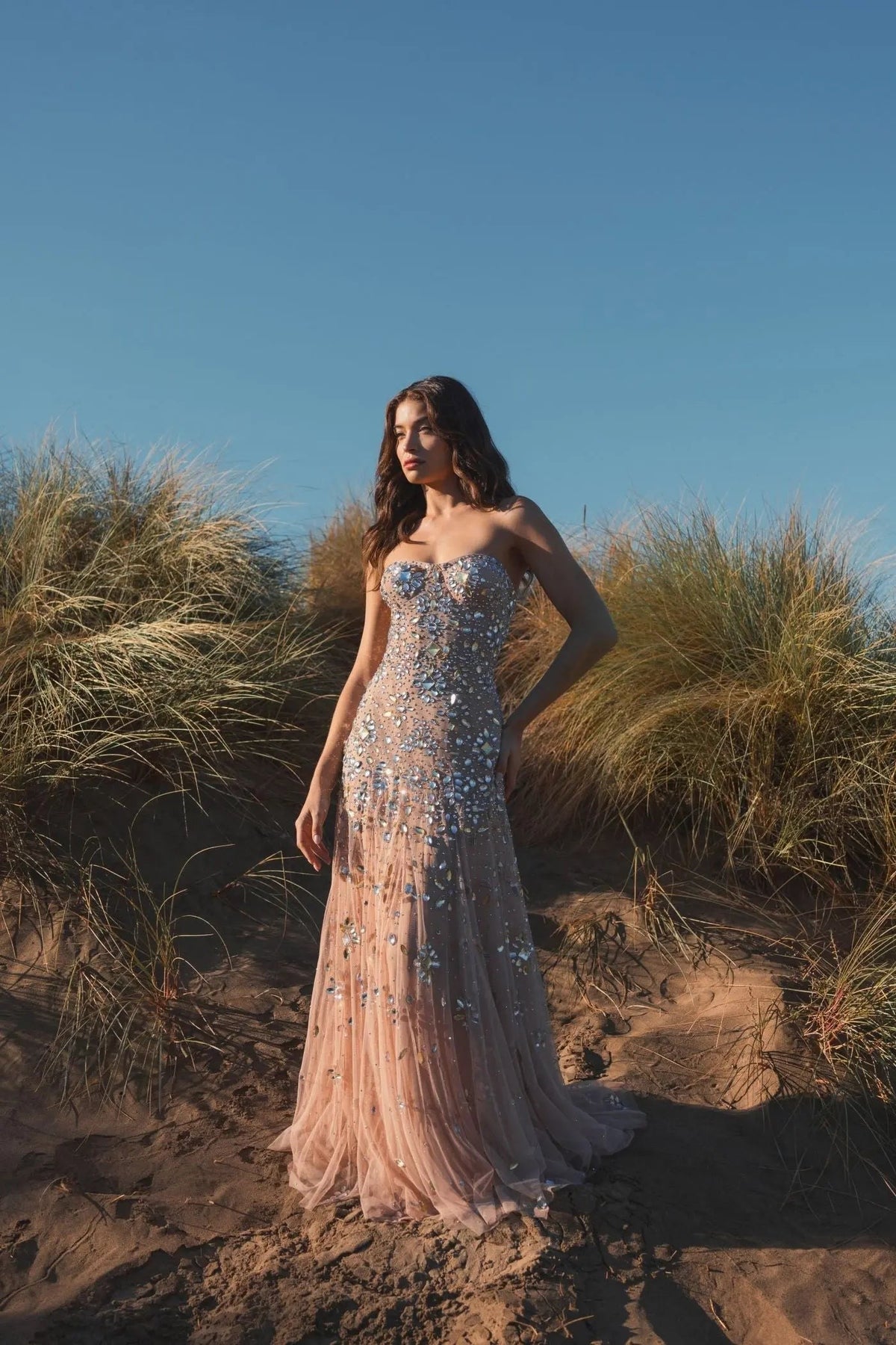 Pink Strapless Sweetheart Embellished Net Gown