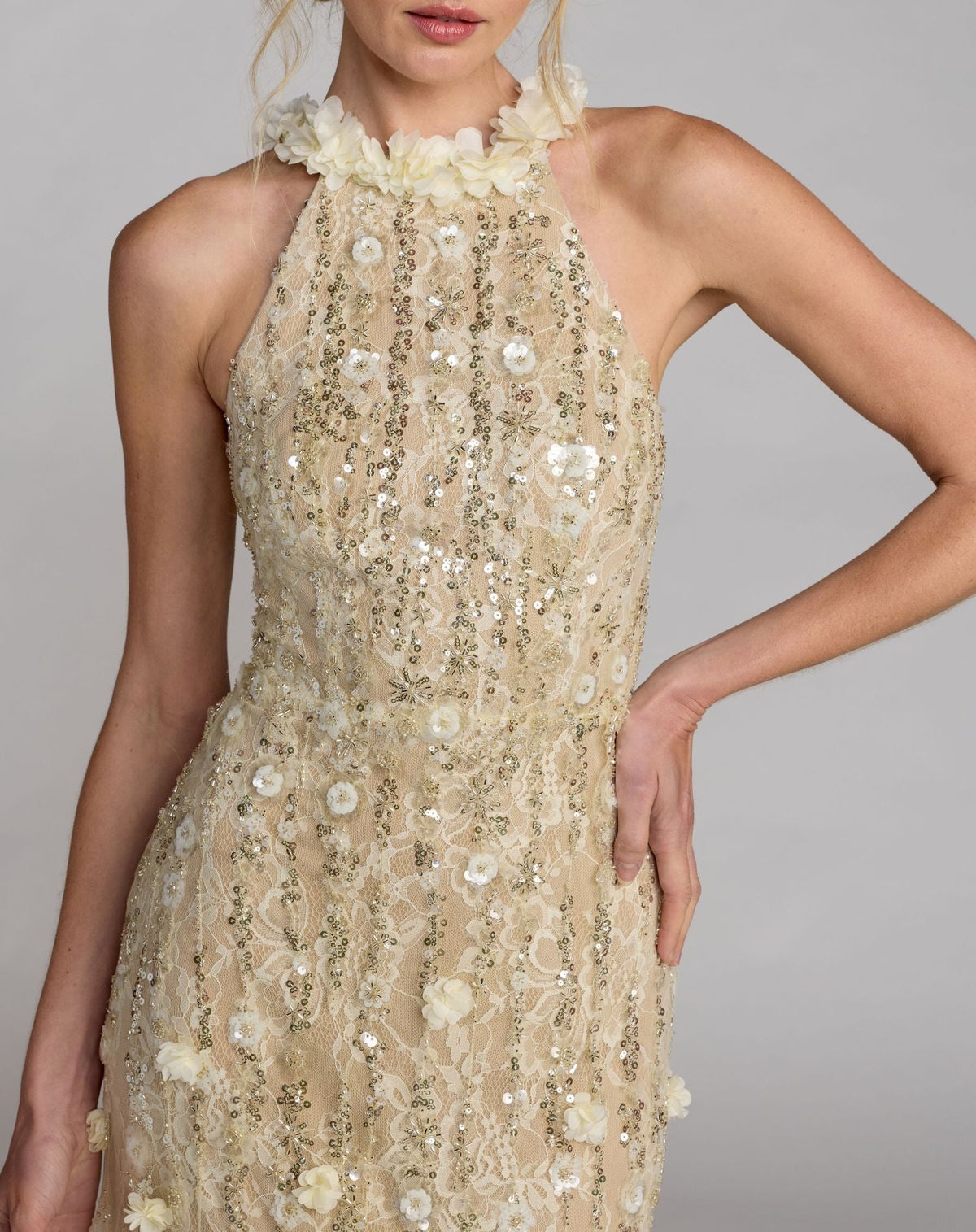 Butter Embellished Lace Halter Neck Mermaid Gown