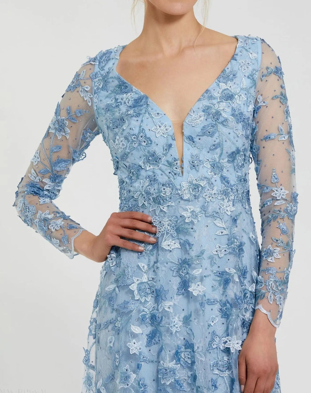 Blue Floral Applique Long Sleeve Illusion Gown