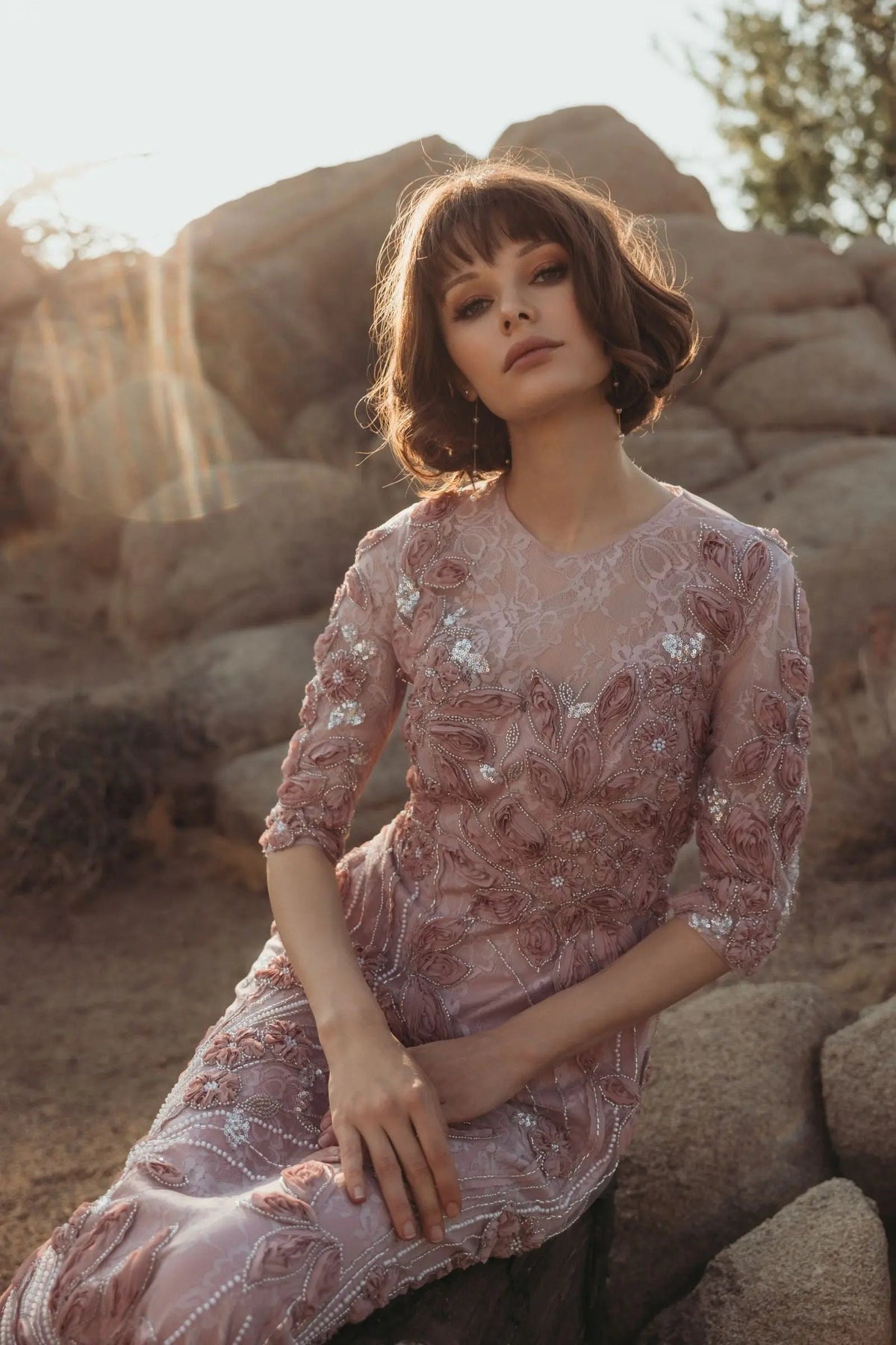 Mocha High Neck Embellished Lace Gown With 3/4 Sleeves