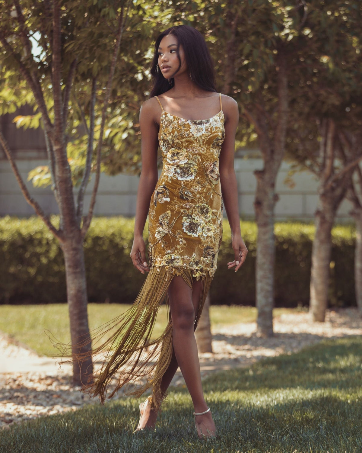 Gold Embellished Velvet Fringe Maxi Dress