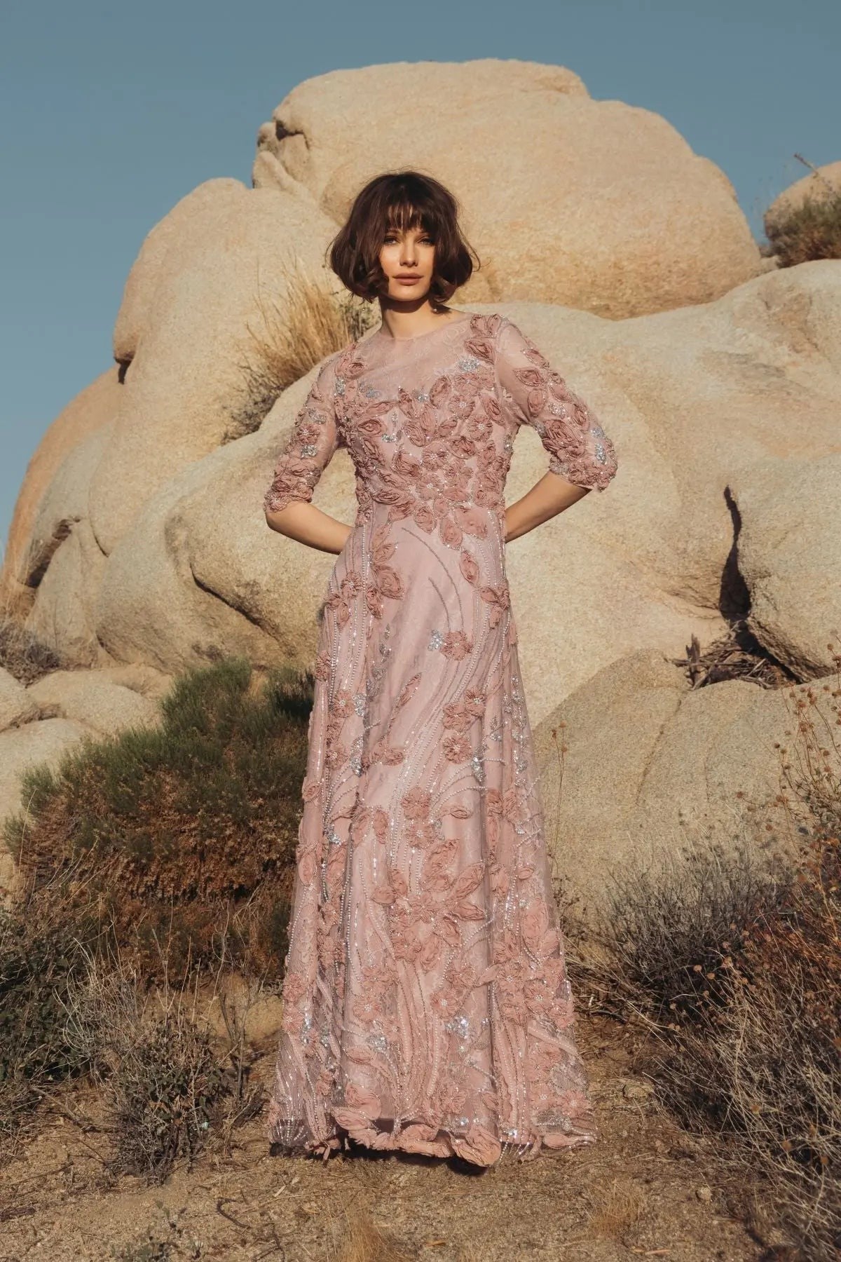 Mocha High Neck Embellished Lace Gown With 3/4 Sleeves